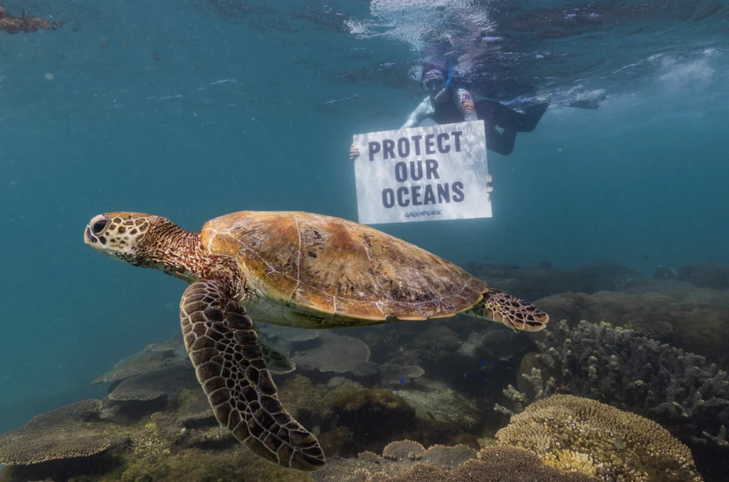 2025: Οι μικρές περιβαλλοντικές νίκες που δίνουν ελπίδα στον πλανήτη